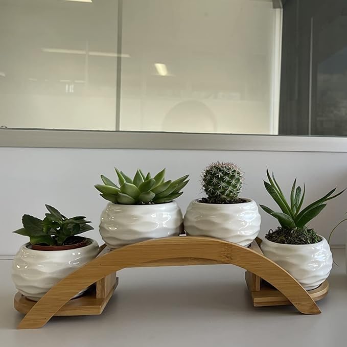 E-liu Succulent Pots and Stand Set, Ceramic White Succulent Planter Pot with Drainage, Pack of 4, Cute Office Garden Indoor Decoration, Plants Not Included