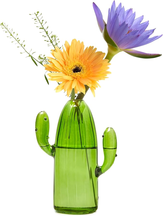 XXXFLOWER Glass Plant Mister Spray Bottle for Indoor Plant+Cactus Plant Propagation Station Terrarium Jars