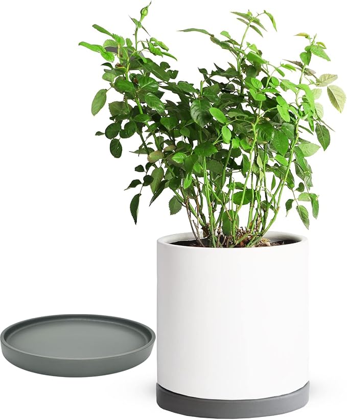 Yukfona Ceramic Plant Saucer Pot Tray 10 Inch, Planter Saucers 4 5 6 7 8 9 10 11 12 13 Inch for Indoors Outdoor, Durable Sturdy Flower Drainage drip Water Tray for Glazed Pots Base (10.7 Inch-Grey)