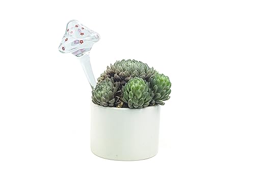 4 Pieces Plant Watering Globes, Hand-Blown Multicolored Glass Self Watering Spikes