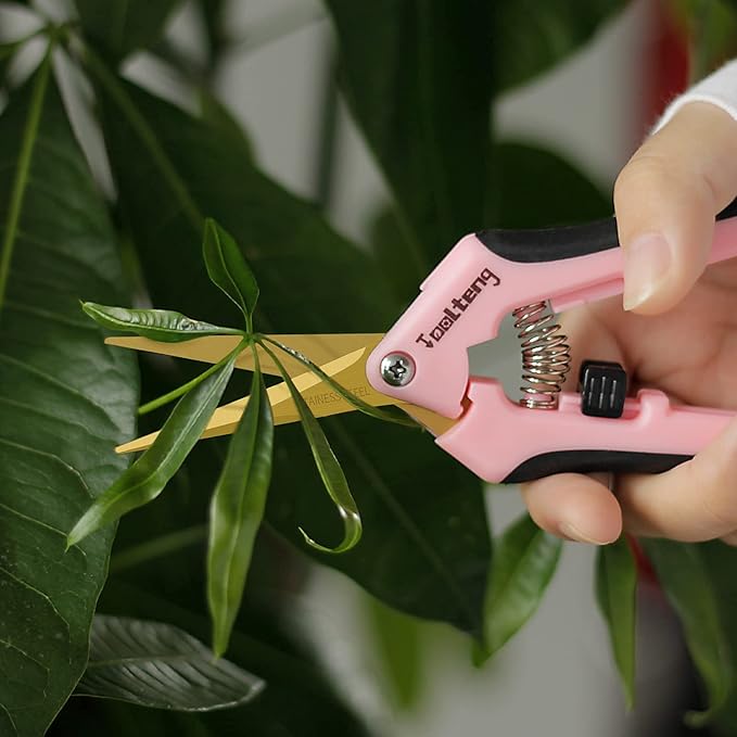 6 Packs Pruning Shears with Curved Blades, Garden Trimming Scissors, Gardening Hand Pruning Snips Titanium Coated Precision Bonsai Pruning Shears, Efficient Flower Cutters (Pink)