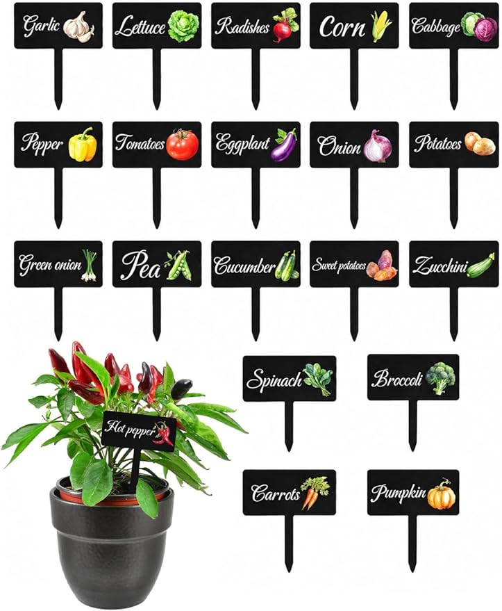 20Pcs Garden Signs for Vegetables, 20 Styles Waterproof Reusable Plant Label Signs, Fruit Plant Stakes Tags with Names for Indoor Outdoor Garden Decoration