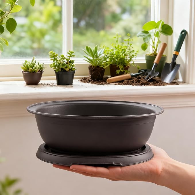 MUZHI 3 Pack Oval Bonsai Training Pot with Drainage Tray, Matte Finish Succulent Growing Pot for Home Garden Plant Outdoor Indoor Container (7.2" Medium)