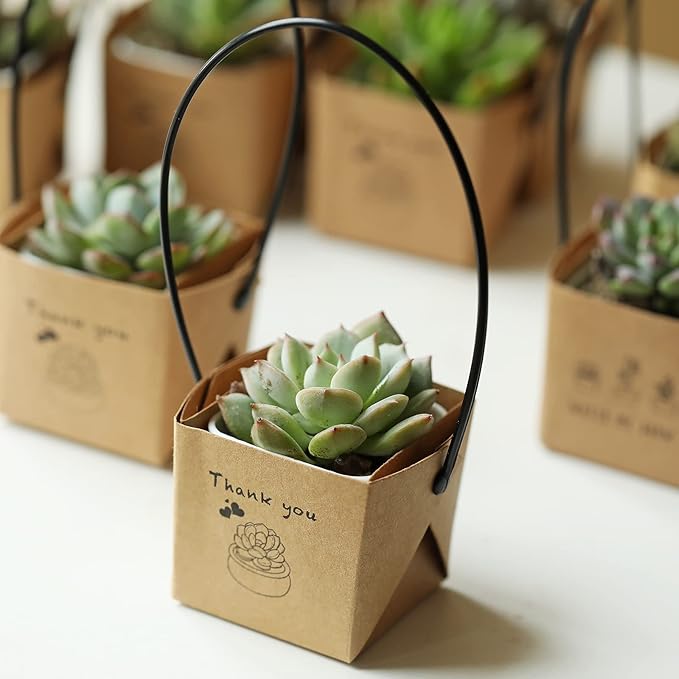 NITHECON 40pcs Thank You Succulents Wraps [NOT Include Plants and Pots]-[Fits 2 Inch Pots] Gift Bags Decoration Sleeve Succulent Tags for Wedding Baby Shower Favors Ideas,Kraft Paper