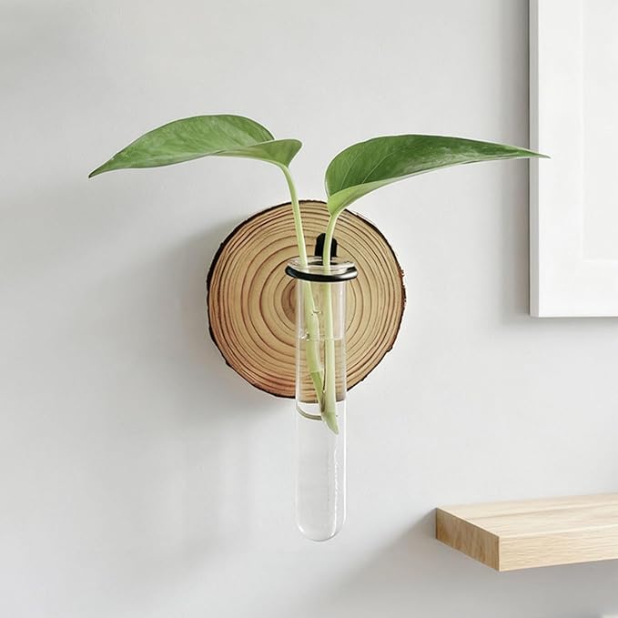 Plant Propagation Station,Wall-Mounted Hydroponic Propagator System Holder | Test Tubes Vase Planter - for Home Office Balcony Terrace Gardening Window Water Women Men Mom