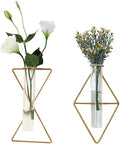 2 Pack Nordic Gold Wall Vase,Hanging Geometric Metal Vase Hydroponic Planter,Wall-Mounted Glass Tube Bud Vase Decorative for Centerpieces Wedding Home Decor(Gold 11)