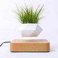 Levitating Plant Pot, Magnetic Floating Planter Levitating Plant 360° Auto Rotating Display for Bonsai, Air Plants Mini Flowers Cool Floating Desk Decor for Office, Living Room (Light Brown)