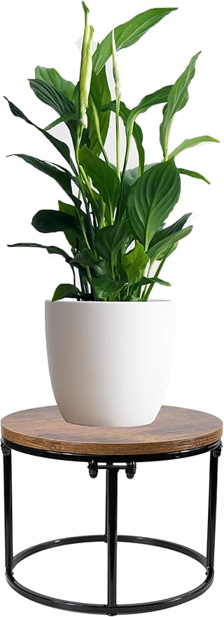 ARTORA Plant Stand Indoor Short Plant Shelf Mid Century Metal and Wood Stool Flower Pot Holder Modern Plant Display Low Rack for Living Room Balcony Garden Patio(Black&Brown)