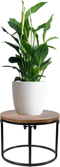 ARTORA Plant Stand Indoor Short Plant Shelf Mid Century Metal and Wood Stool Flower Pot Holder Modern Plant Display Low Rack for Living Room Balcony Garden Patio(Black&Brown)