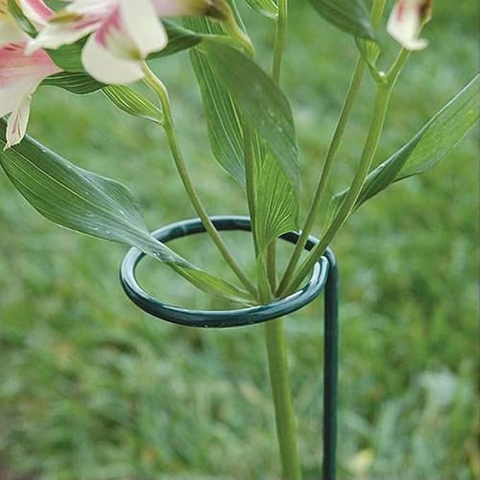 36 Inches Single Stem Plant Support Stakes Steel Garden Stakes Plant Stem Support, Pack of 20