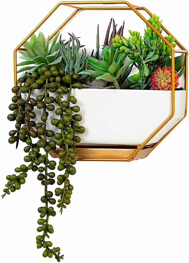 IRYL Wall Planter for Indoor Plants - Ceramic Wall Hanging Planter Set with Bamboo Tray & Hooks - Decorative Wall Plant Holder - Modern Wall Planters for Vertical Garden Home Decor - Golden