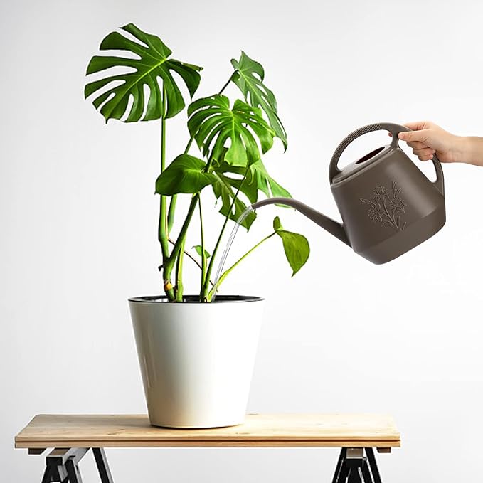Fasmov 1-Gallon Plastic Watering Can with Comfortable Handle, Garden Watering Cans Long Spout for Indoor Outdoor Watering Plants, Gray