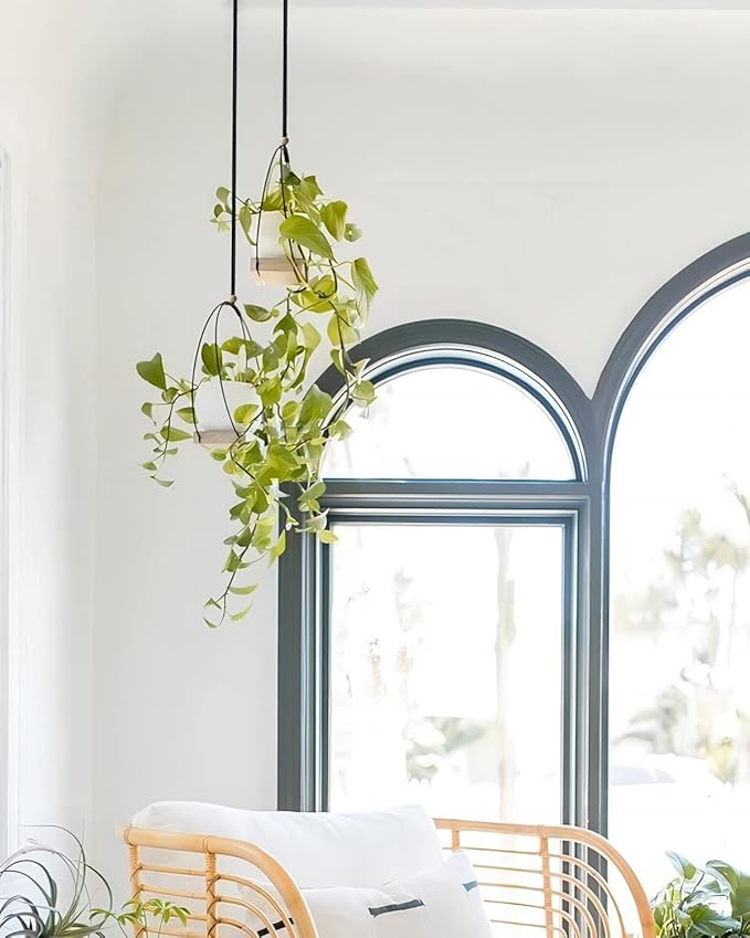 Plant Hangers Indoor with Wood Base -2 Pack Boho Macrame Hanging Plant Holder for Indoor Plants Hanging Planter for Wall/Window/Room Decor Black (Pot & Plant Not Included)