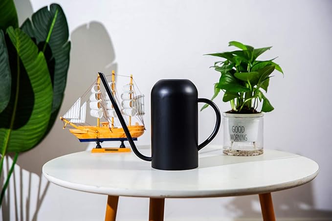 Long Spout Watering Can Metal 40oz/1.3L,Stainless Steel Watering Pot for Outdoor and Indoor House Plants, Matte Black
