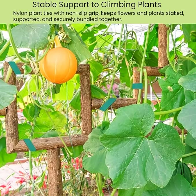Reusable Plant Ties Hook and Loop Soft Garden Tape Roll Gentle Plant Supporting Ties Double Sided Self Gripping Adjustable Garden Staking Straps for Climbing Plants and Vines (1/2 Inch x 82 ft, Green)