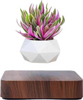 Levitating Air Bonsai Pot,Cool Stuff, Rotation Flower Pot Planters, Potted Plant Home Desk Decor in Flower Pots & Planters from Home & Garden on (Dark Color)