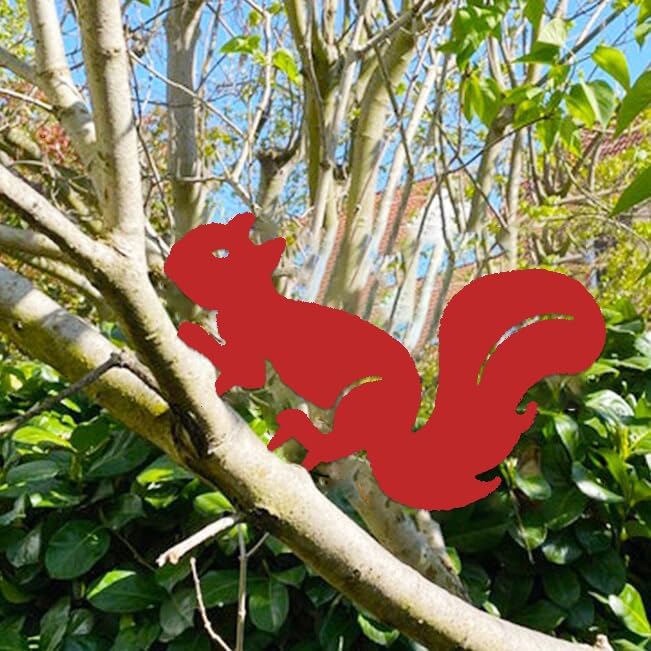 Rusty Squirrel Garden Stake, Metal Squirrel Yard Art,Squirrel Silhouette, Rusted Metal Garden Decor, Garden Gifts for Her Him(Red,16x11.6/40x29.5cm)