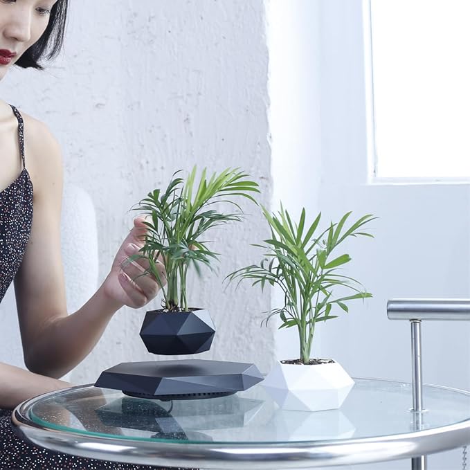 MOOCCI Levitating Plant Pot Floating Plant Potted Plant, Air Bonsai and Artificial Plants, Home Office Desk Decor, Gift for Easter, Mother's, Father's Day（Black