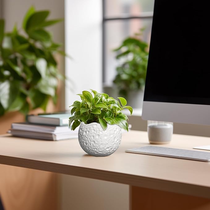 4 Inch Plant Pots - Ceramic Pots for Plants with Drainage Hole, Small Planter for Indoor Outdoor, Unique Succulent Pot, Decorative Modern Round Planter, Desk Decor, Plant Lover Gifts, White