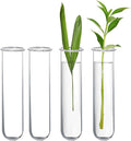 XXXFLOWER Glass Propagation Stations Accessories Glass Test Tubes Tiers Planters Wall Terrarium for Home Office Plant Hanger Flower Vases Wall Decor Hydroponic Cuttings (4 Tube Vases) Clear