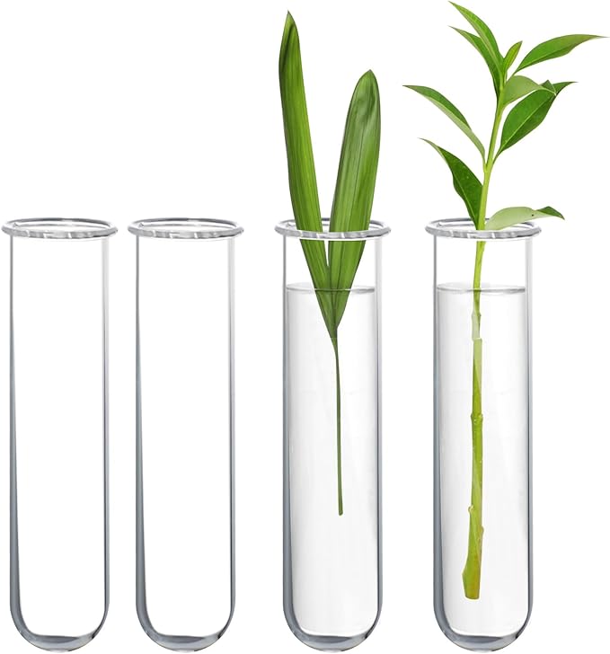 XXXFLOWER Glass Propagation Stations Accessories Glass Test Tubes Tiers Planters Wall Terrarium for Home Office Plant Hanger Flower Vases Wall Decor Hydroponic Cuttings (4 Tube Vases) Clear