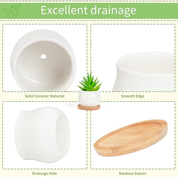 SHECIPIN 2 Pack Succulent Pots, 2.5 Inch Mini Ceramic Pots for Flower or Cactus Plants with Drainage Hole,Plants Not Included (White)