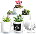 Self Watering Pots for Plants, 2026 New Flower Plant Pots with Drainage Holes, Wicking and Clear Reservoirs for Succulent, Aloe, Cacti and Others - 6 Pack (White, 4")