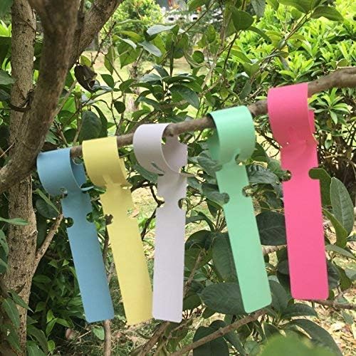 Plastic Tree Tags Garden Plant Labels, 500 PCS 5 Colors Wrap Around Nursery Tags