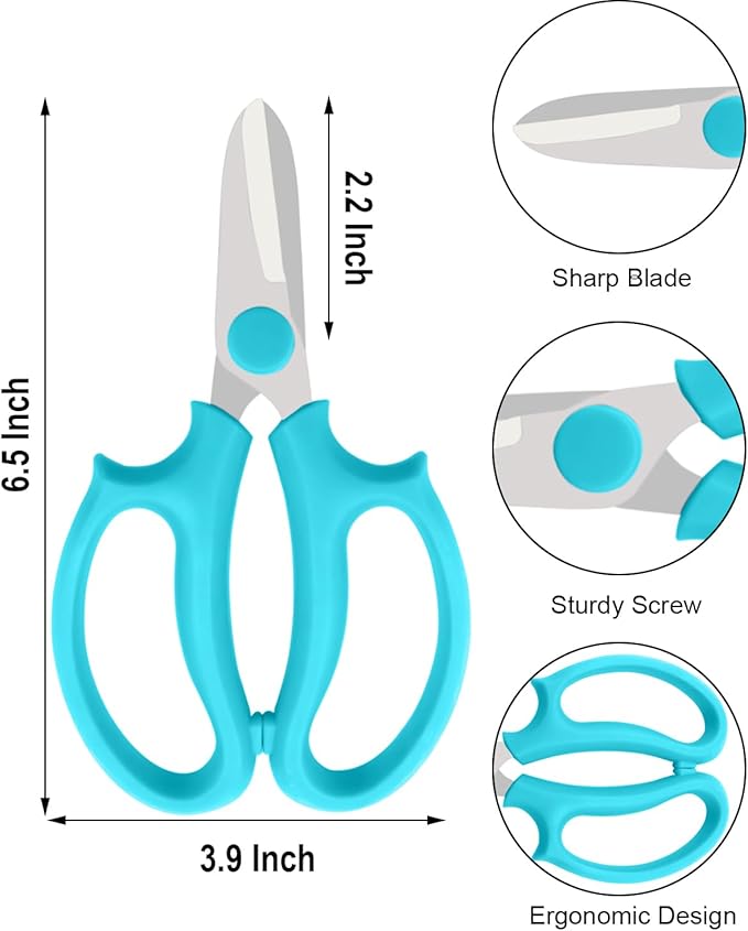 Flower Scissors - Stainless Steel Flower Shears, Garden Plant Floral Shears for Fresh Flowers Stems (Blue, Green, Pink, Violet) (1 PC Pink)