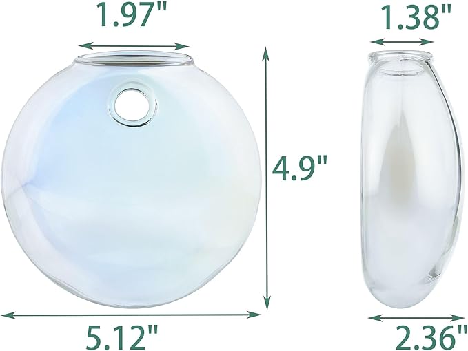 4 pcs Glass Wall Hanging Planter, Oval Terrarium Vase, Propagation Station for Hydroponics, Indoor Plants, Home Office Decor (Medium)