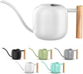 Green Moon Water Can Indoor Plant White 1.2L/41oz with Long Spout Small Water Can Metal Watering Can Pot for Indoor House Plant Bonsai Outdoor Garden Flowers Decorative