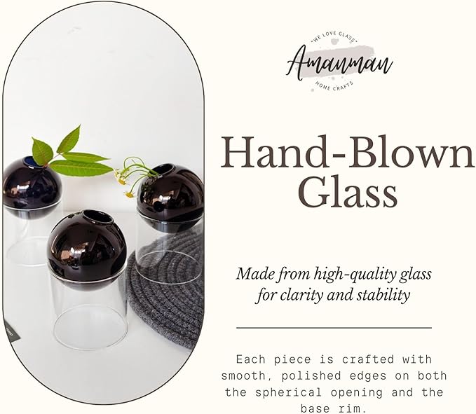3-Pack Modular Black Glass Vase Set | Minimalist Aesthetics Bud Vase & Desktop Glass Planter with Clear Stand, Small Flower Vase