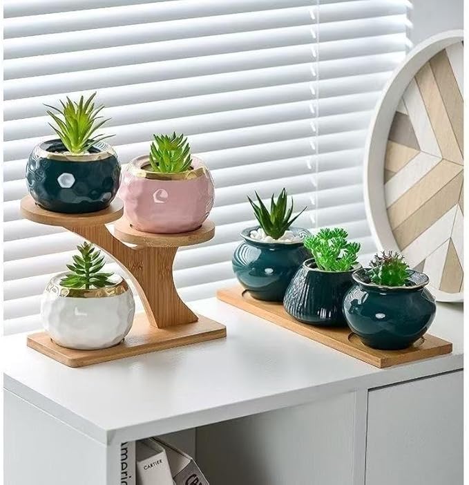 2-Tier Bamboo Plant Stand, Small Indoor Plant Holder for Desk, Multi Layer Flower Pot Display Shelf for Succulents, Cactus & Small Plants, Natural Wood Decorative Planter Rack