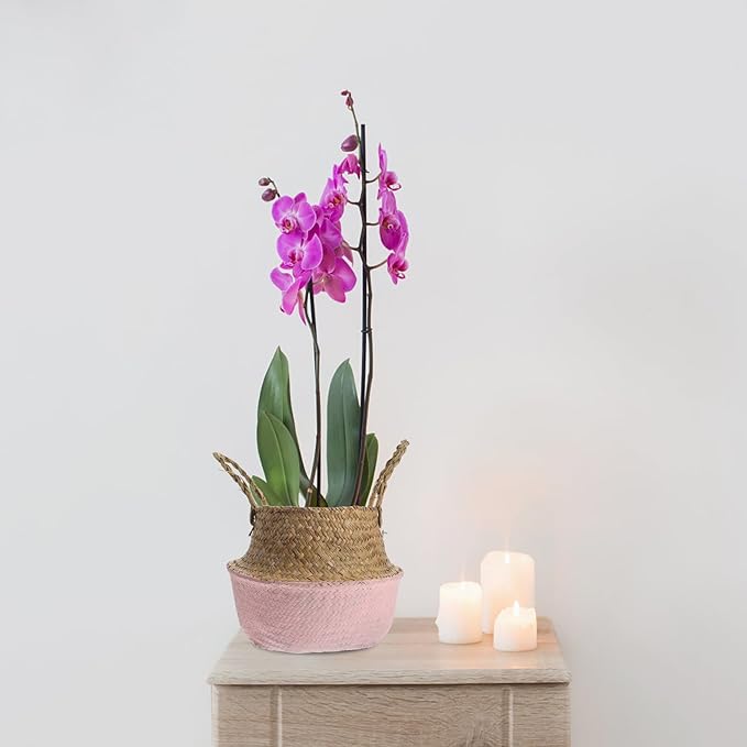 Luxshiny Woven Seagrass Planting Basket with Handles, Decorative Foldable Rattan Planter Pot for Indoor Flower Gardening, 27cm Diameter Pink Boho Storage Basket for Living Room Decor
