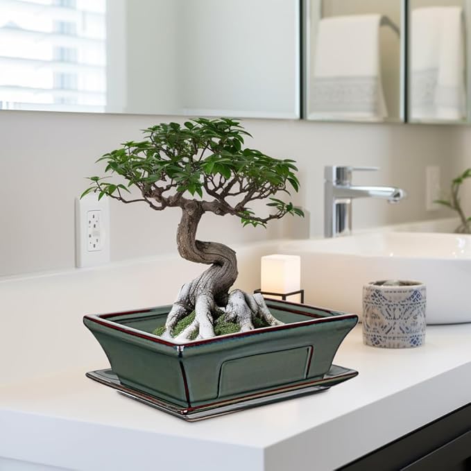 Large Ceramic Bonsai Pots with Drainage Trays Set of 2, 10" Green Glazed Bonsai Planters for Indoor/Outdoor Use, Rectangular Shallow Bonzai Tree Pot for Succulent, Orchids, Cacti, Home, Patio, Garden,