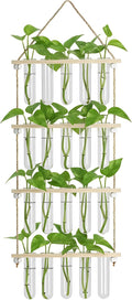 20Tubes Hanging Plant Propagation Station, 4-Tier Wall Mounted Wooden Plant Stand with 3cm Large Shatterproof Plastic Tubes for Pothos Plant Cuttings, Indoor Window Decor & Gifts for Plant Lovers