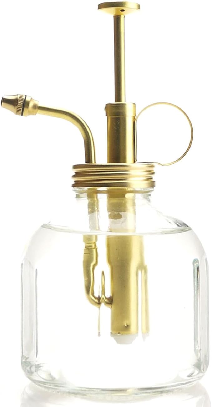 Plant Mister- Clear Color Glass Bottle & Brass Sprayer (Matt Gold)