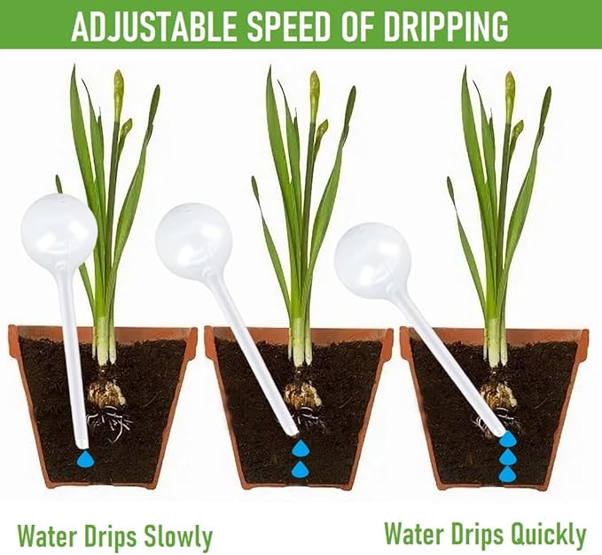 Plant Watering Globes, Self Watering Bulbs for Indoor & Outdoor Plants, Plastic Self-Watering Balls Automatic Water Irrigation Device (Clear, Large 12 Pack)