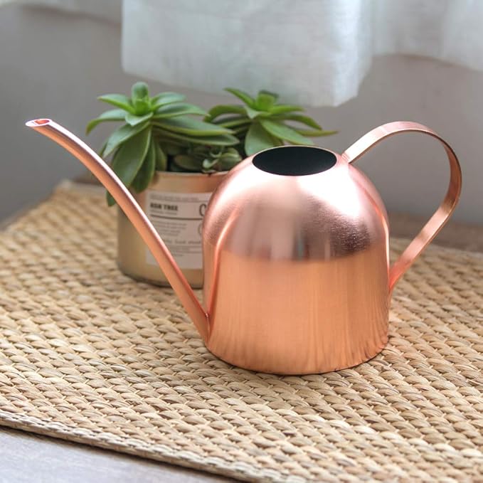 Stainless Steel Watering Can for Indoor Plants – Long Spout, Gentle & Even Watering, Precision Plant Water Can, Rose Gold 30 oz | E.Palace