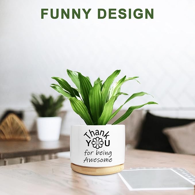 Thank You Gifts for Women, Succulent Planter, Flower Cactus Plant Pot, Employee Appreciation Gifts for Coworkers Nurse Friends Women, Thank You for Being Awesome (No Plants)