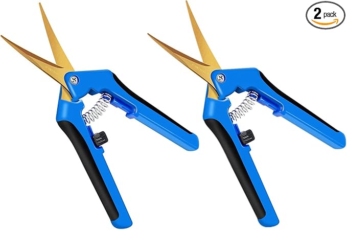 iPower GLPRNR6BLTIX2 2-Pack 6.5” Gardening Hand Pruner Shears with Titanium Coated Curved Precision Blades for Trimming House Plants, Blue