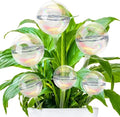 6PCS Plant Watering Globes,Iridescent Rainbow Clear Watering Bulbs,Glass Self Watering Planter Insert,Watering Bulbs for Flowerpot,Indoor,Outdoor,Hanging Plants Home Garden(3 Large+3 Small)