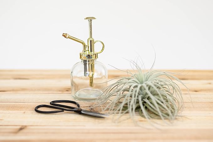 Glass Plant Watering Mister – 8 Ounces Gold Accent Plant Spray Bottle – Single Handed Watering Can for Indoor Plants