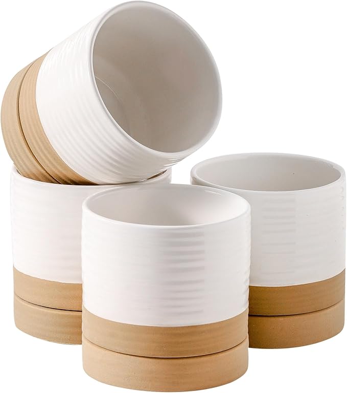 HASENSE Ceramic Plant Pots with Saucers Set of 4, 4.6 Inch Planters for Indoor Plants with Drainage Holes,Two-Tone White Flower Pots for Succulents, Snake Plants & Cactus, Farmhouse Desktop Decor