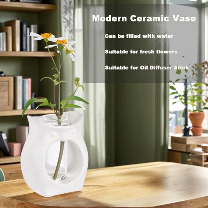2-in-1 Ceramic Plant Propagation Station with Glass Jars, Owl Planter & Air Plant Holder, Avocado Seed Starter Vase for Indoor Plants, Home Office Decor Gift for Plant Lovers