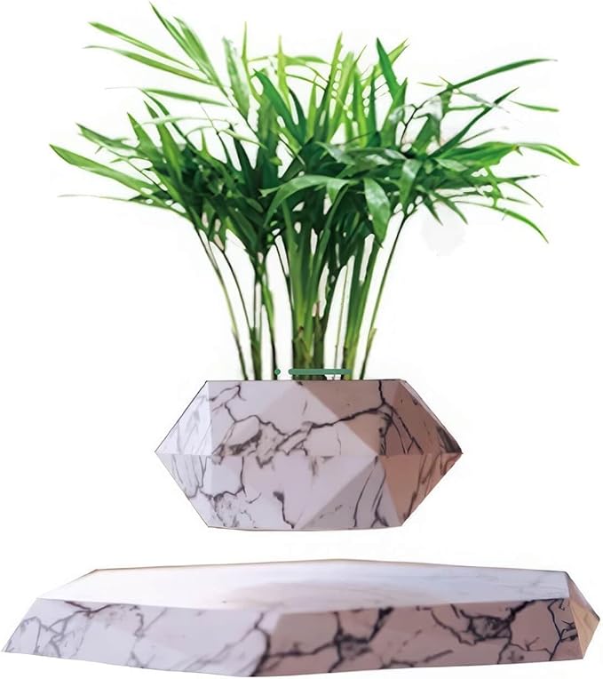 Magnetic levitation Potted Plants, Rotating Flower pots, Suitable for Home Decoration Bonsai, Creative Fashion Ornaments (Color : C)