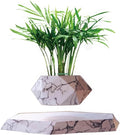 Magnetic levitation Potted Plants, Rotating Flower pots, Suitable for Home Decoration Bonsai, Creative Fashion Ornaments (Color : C)