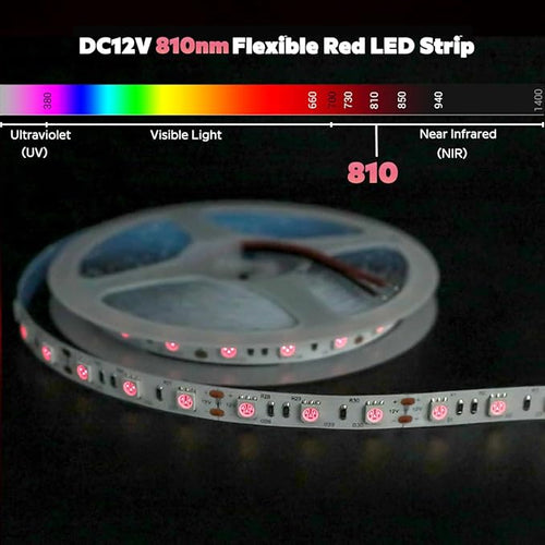 12 Volt 810nm Infrared LED Strip Light, 5m/16.4ft 72W IP20 Non-Waterproof Flexible Cuttable NIR Light LED Tape, 810 nm LED Tape Light (810nm, 300 LEDs, 5050 SMD)