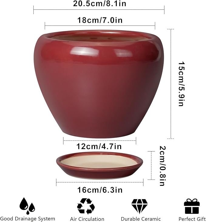 Ceramicfor Ceramic Planter - 8 Inch Plant Pot Indoor with Drainage Hole and Saucer Planter for Outdoor Plants Round Flower Pot for House Patio Decor Red
