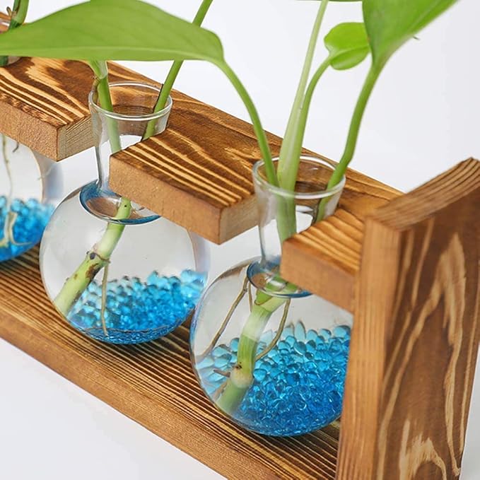 Kingbuy Bulb Forcing Vase Without Side-Hole Plant Propagation Station Air Plant Terrarium for Indoor Hydroponics Water Plants Home Office Decoration Accessories, 2 Pack